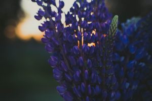 What You Should Know About Eczema